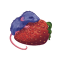 Baby Mouse on a Strawb Sticker