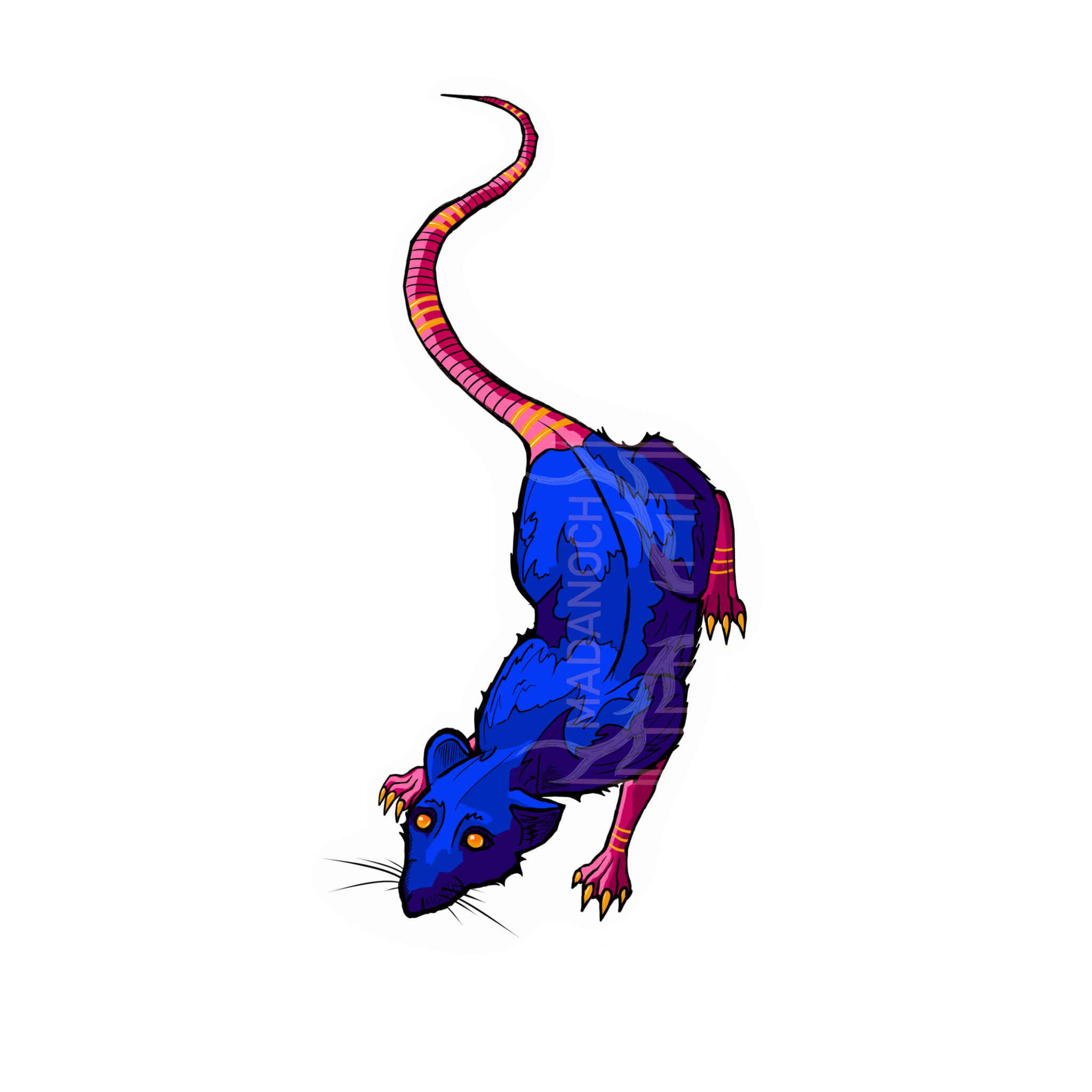 Rat Sticker
